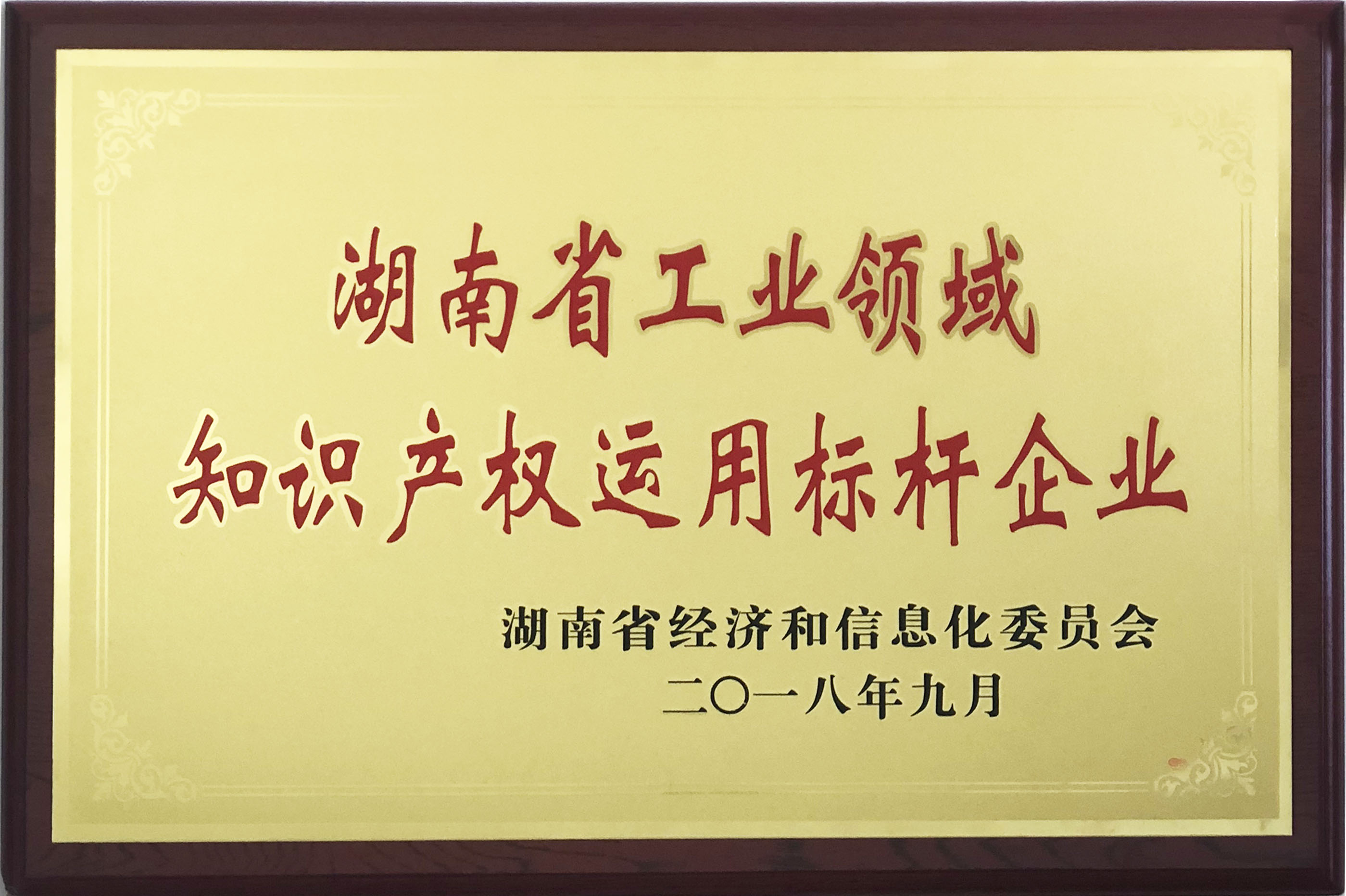 湖南省工業(yè)領(lǐng)域知識產(chǎn)權(quán)運用標桿企業(yè)